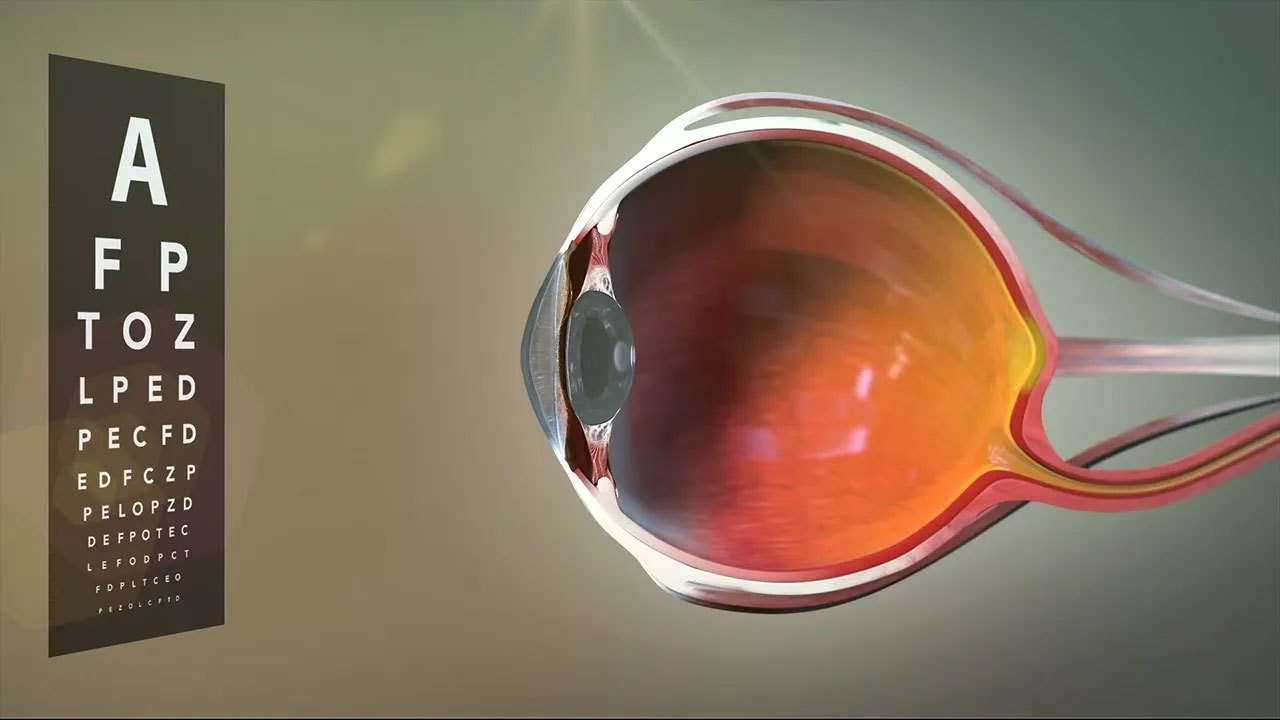 Video Vorschau